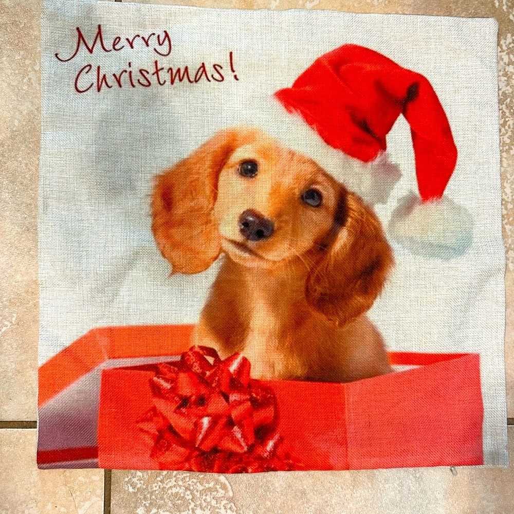 Dachshund Pillow Covers